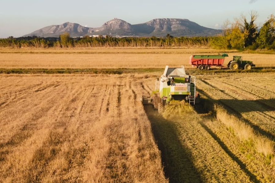 experiencies costa brava lloguer bicicleta