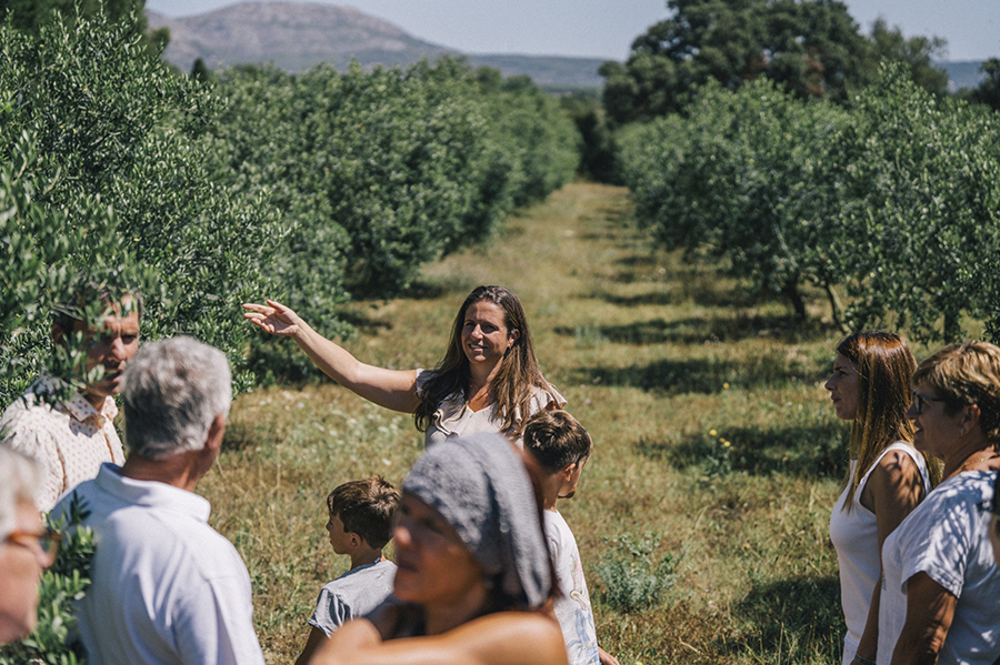 Experiència bicicleta empordà oli d'oliva