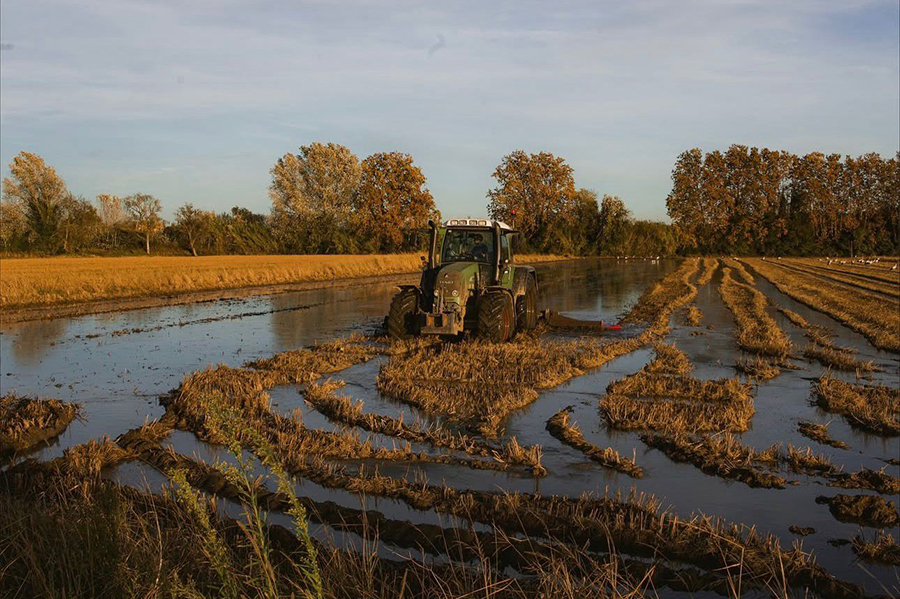 experiència nafent lloguer bicicleta producte local empordà