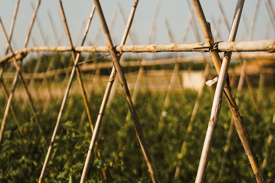 experiència nafent lloguer bicicleta producte local costa brava