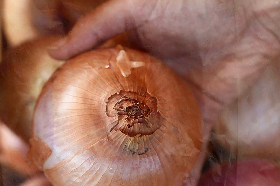 experiència nafent lloguer bicicleta producte local costa brava