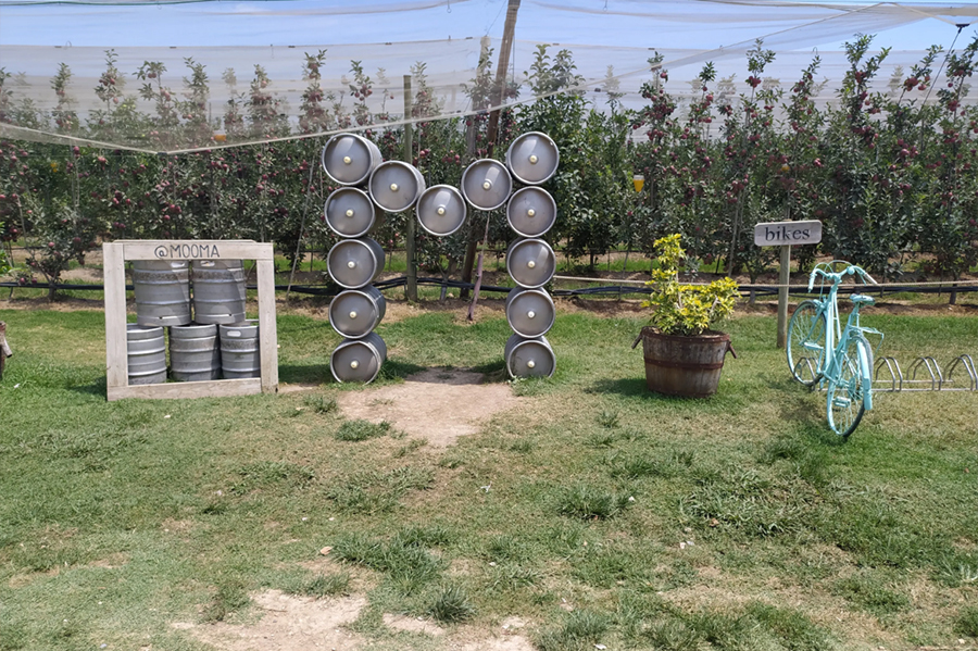 experiencia nafent lloguer biciletes visita sidra empordà