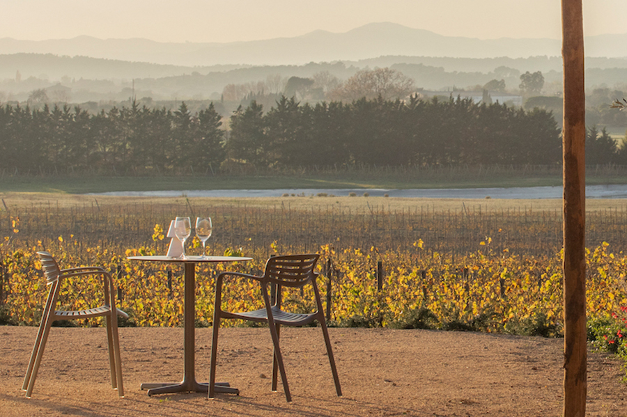 experiències nafent lloguer bicicletes vinyes tast de vins