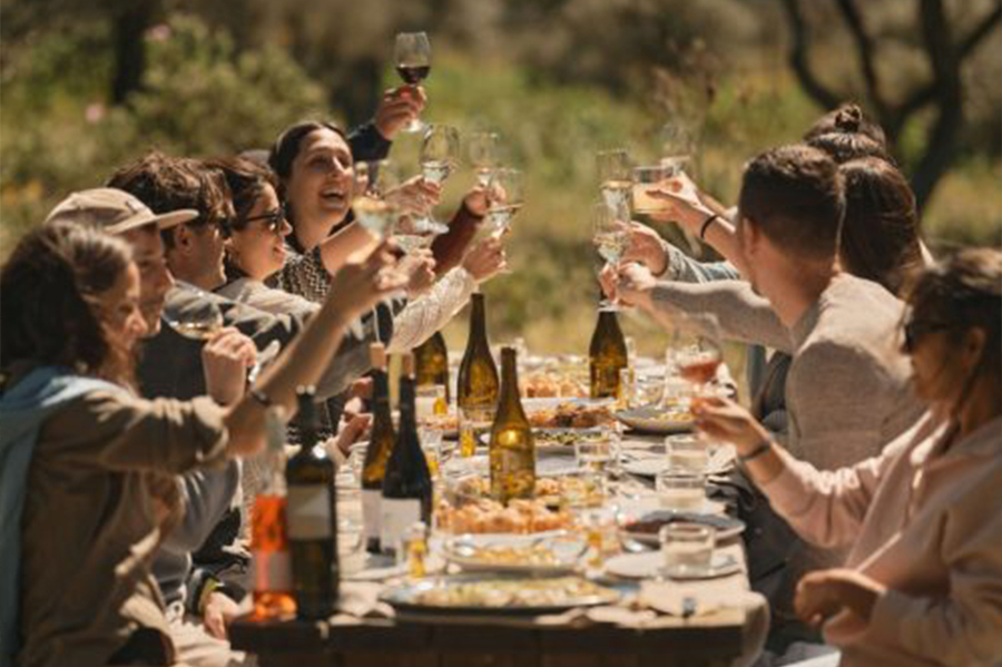 experiències nafent lloguer bicicletes tast de vins costa brava