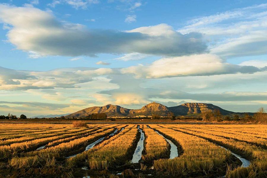 Cycling route through the rice fields of Pals on the Costa Brava